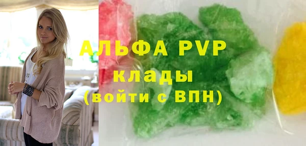 ПСИЛОЦИБИНОВЫЕ ГРИБЫ Новозыбков