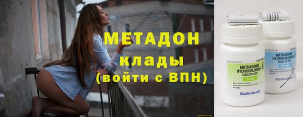 стаф Алзамай
