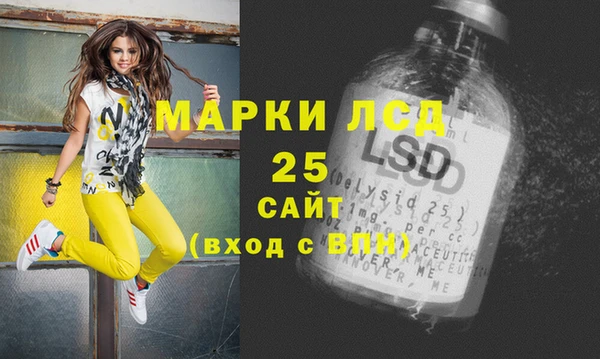 ПСИЛОЦИБИНОВЫЕ ГРИБЫ Новозыбков