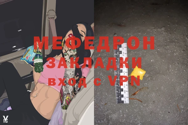 ПСИЛОЦИБИНОВЫЕ ГРИБЫ Новозыбков